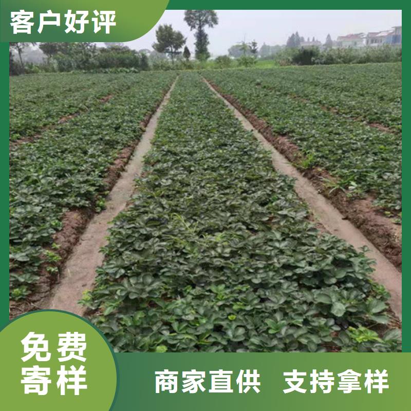 白银迎来“黄金时刻” 凭啥？